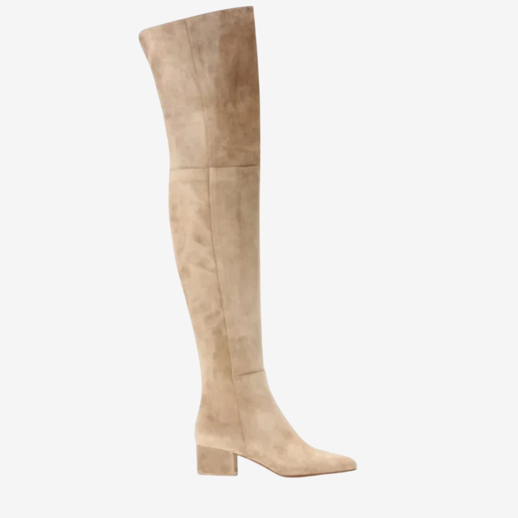 VALERIQUE | Cuissardes en Daim Synthétique pour Femme – Élégance Haute