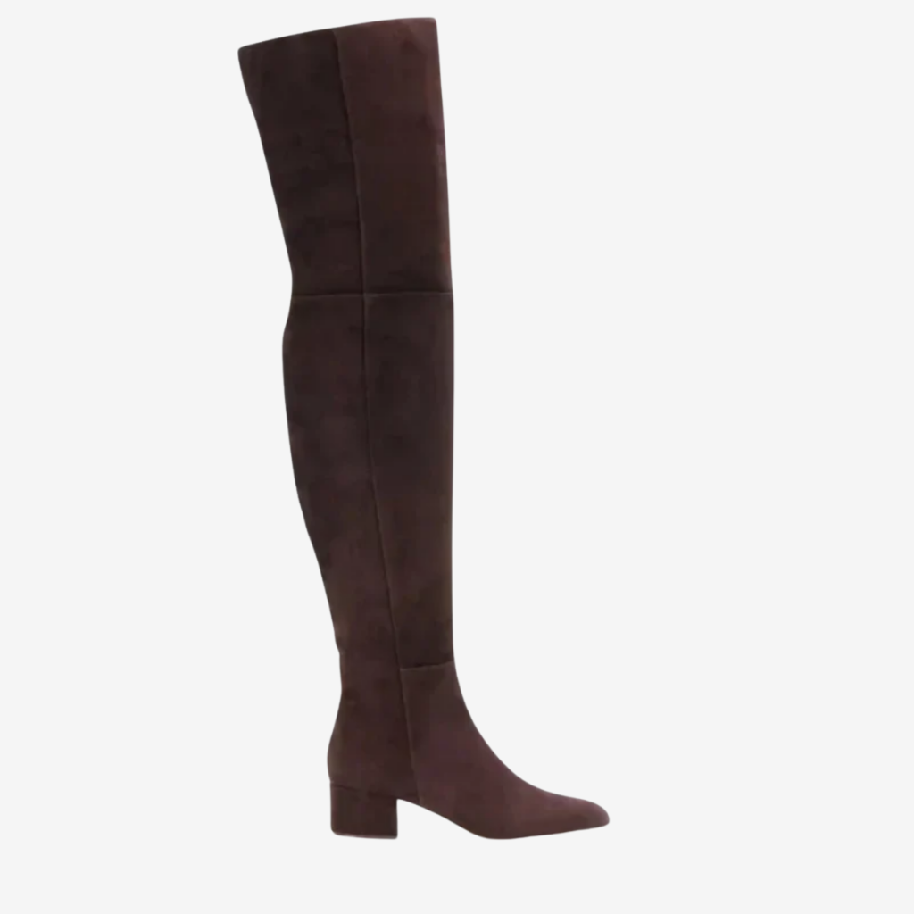 VALERIQUE | Cuissardes en Daim Synthétique pour Femme – Élégance Haute