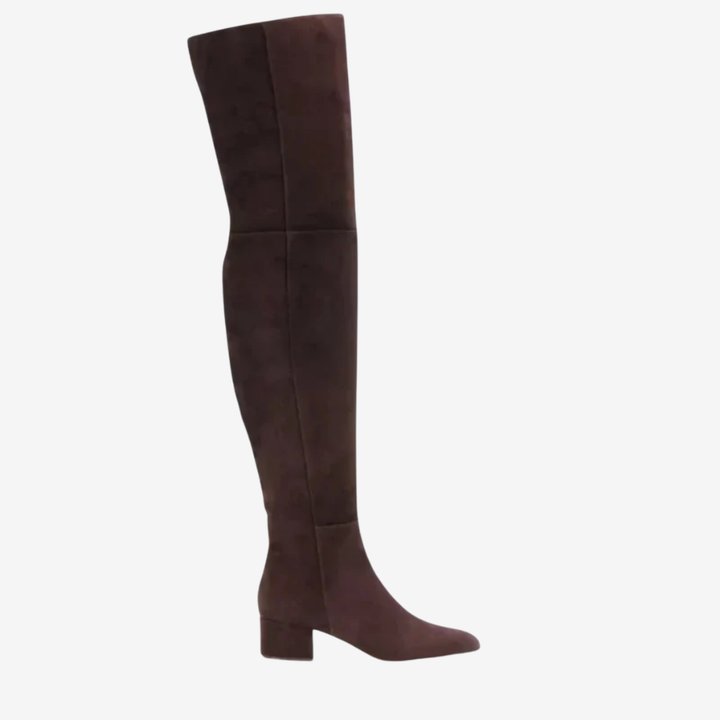 VALERIQUE | Cuissardes en Daim Synthétique pour Femme – Élégance Haute